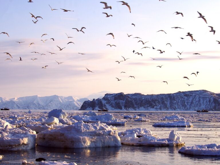 Réchauffement climatique